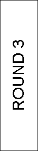 Text Box: ROUND 3
