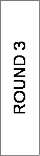 Text Box: ROUND 3
